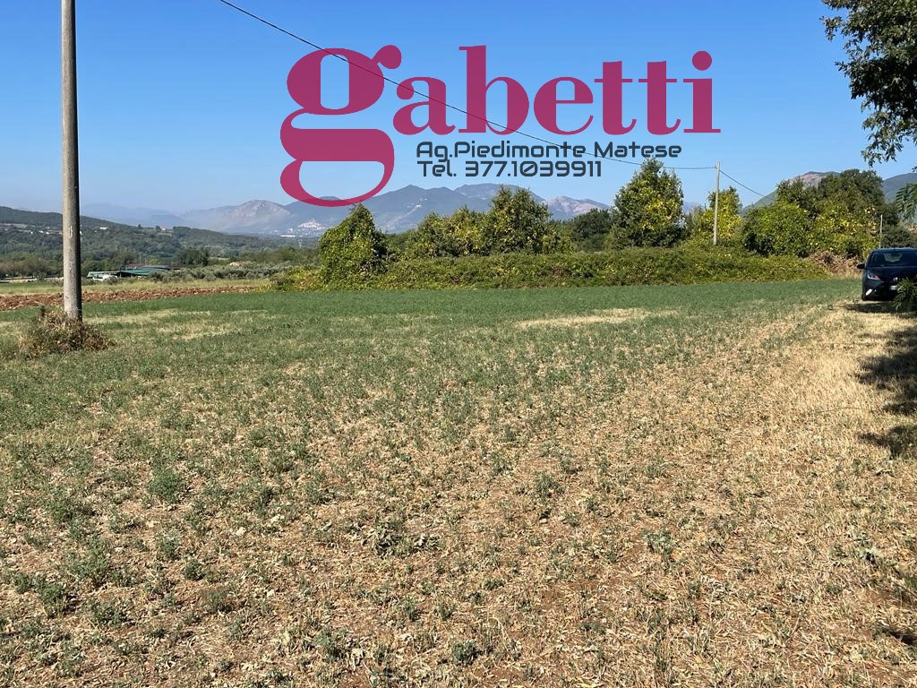 Terreno Agricolo in vendita a Raviscanina