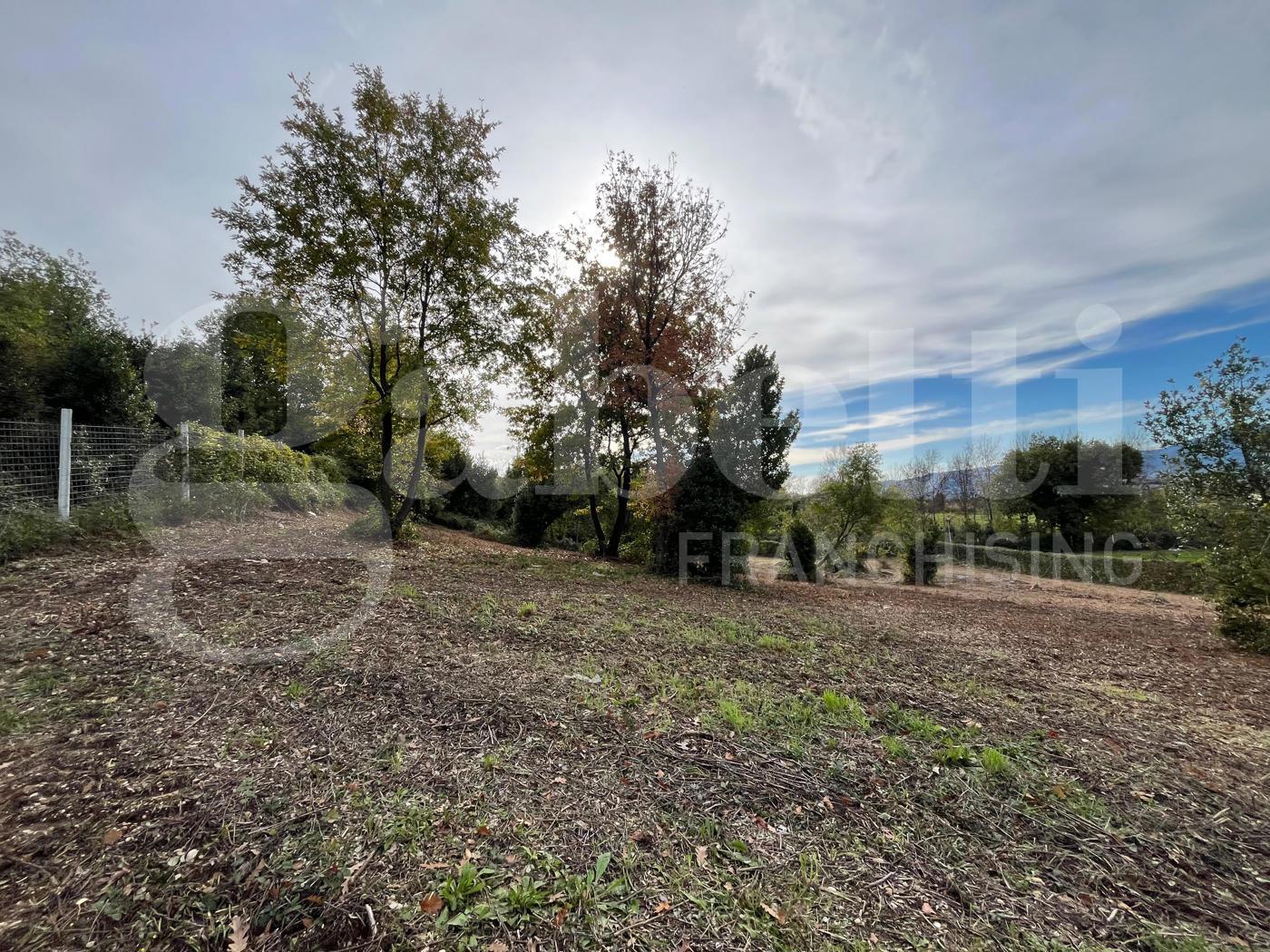 Terreno Agricolo in vendita a Piedimonte Matese