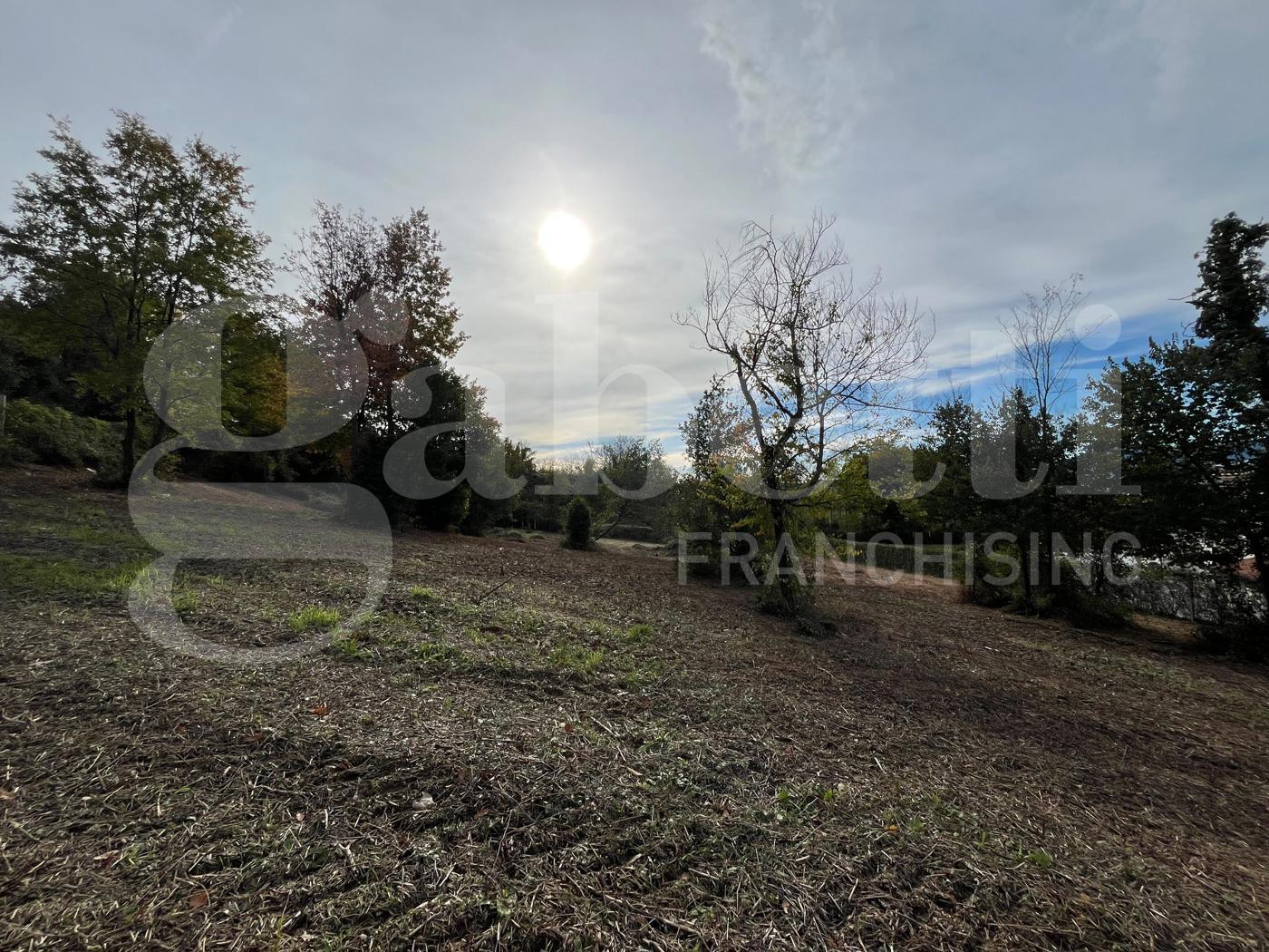 Terreno Agricolo in vendita a Piedimonte Matese