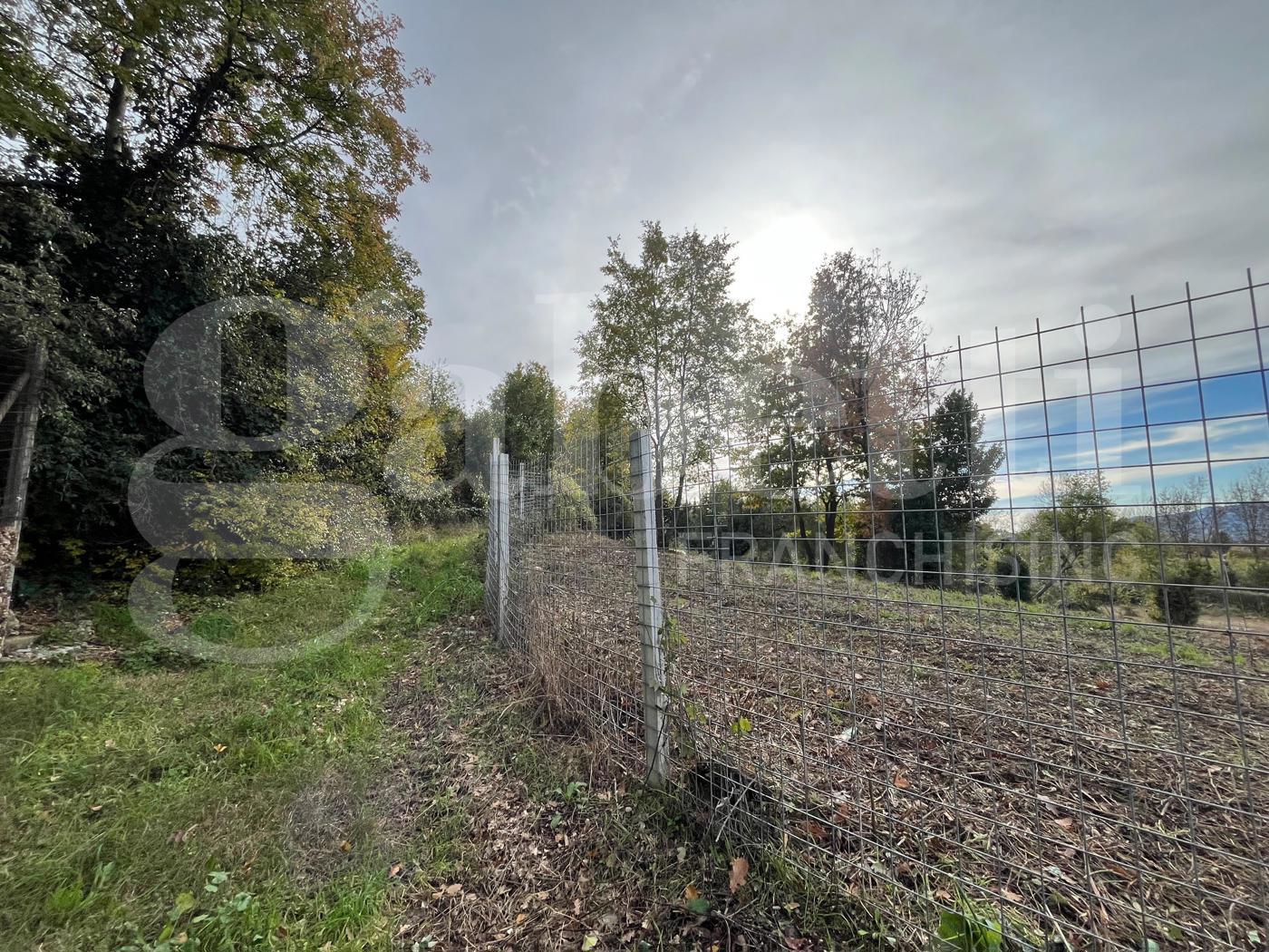 Terreno Agricolo in vendita a Piedimonte Matese