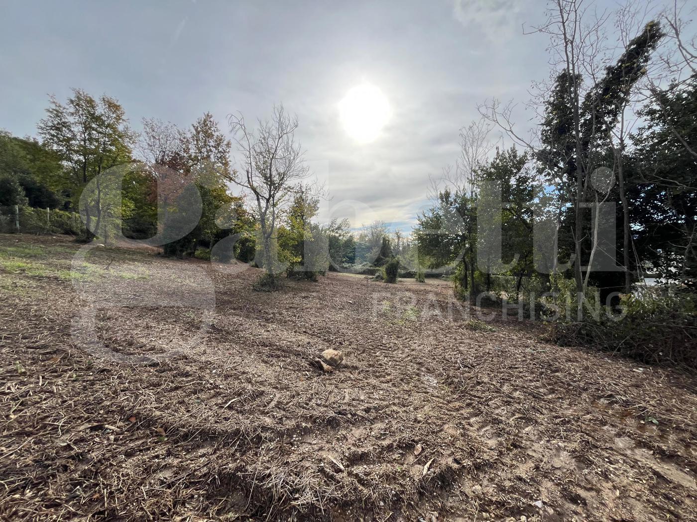 Terreno Agricolo in vendita a Piedimonte Matese