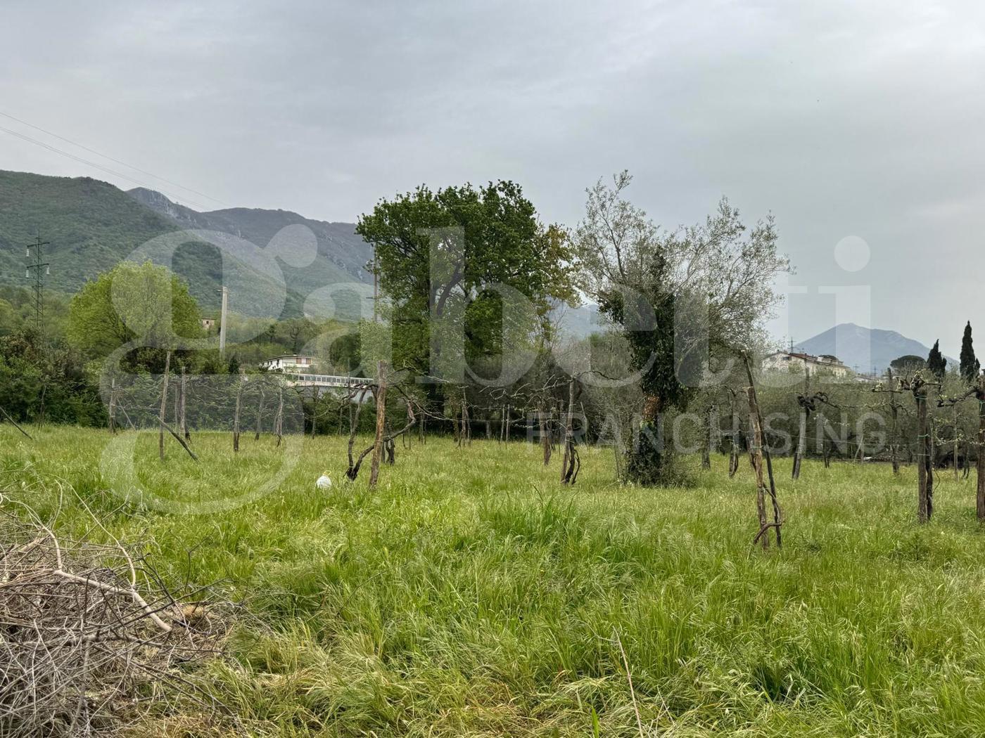 Terreno Edificabile in vendita a San Potito Sannitico
