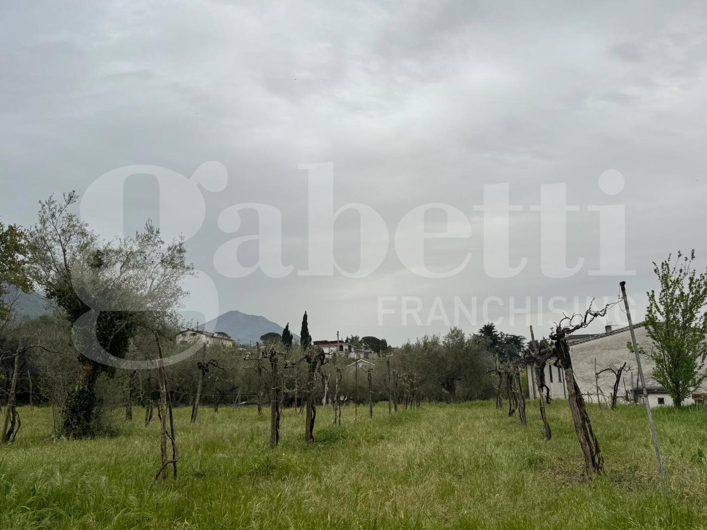 Terreno Edificabile in vendita a San Potito Sannitico