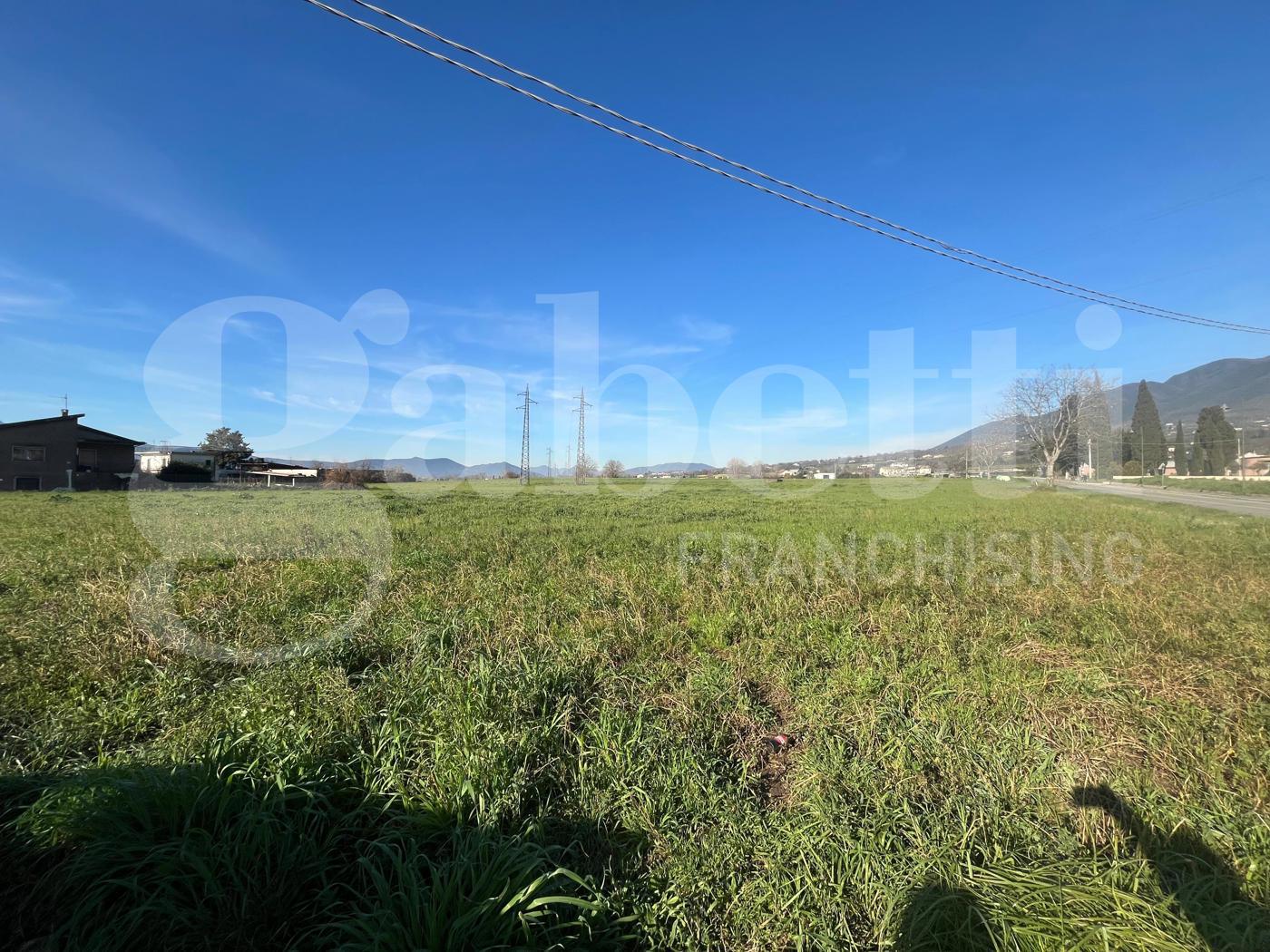 Terreno Agricolo in vendita a Alife