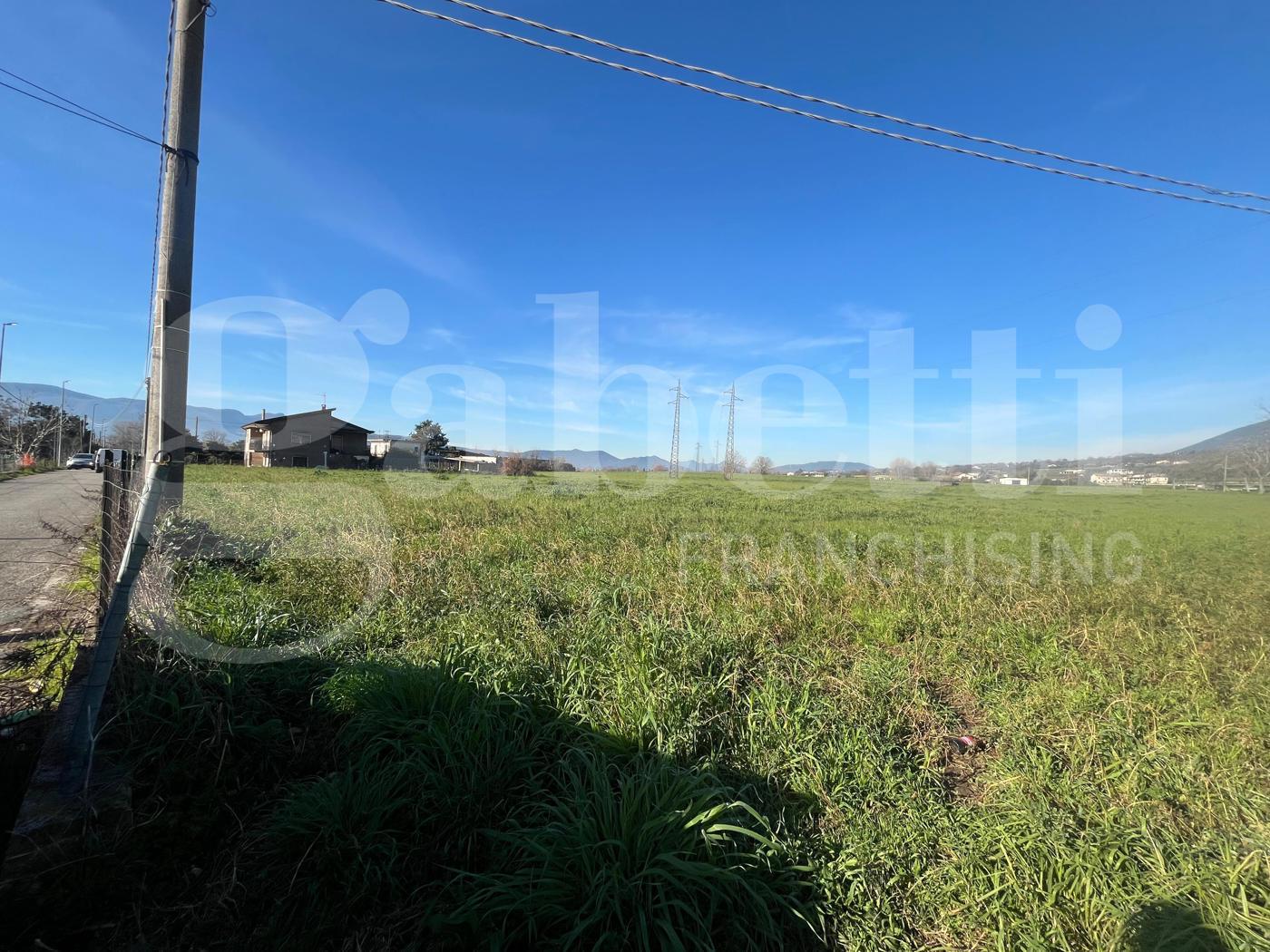 Terreno Agricolo in vendita a Alife