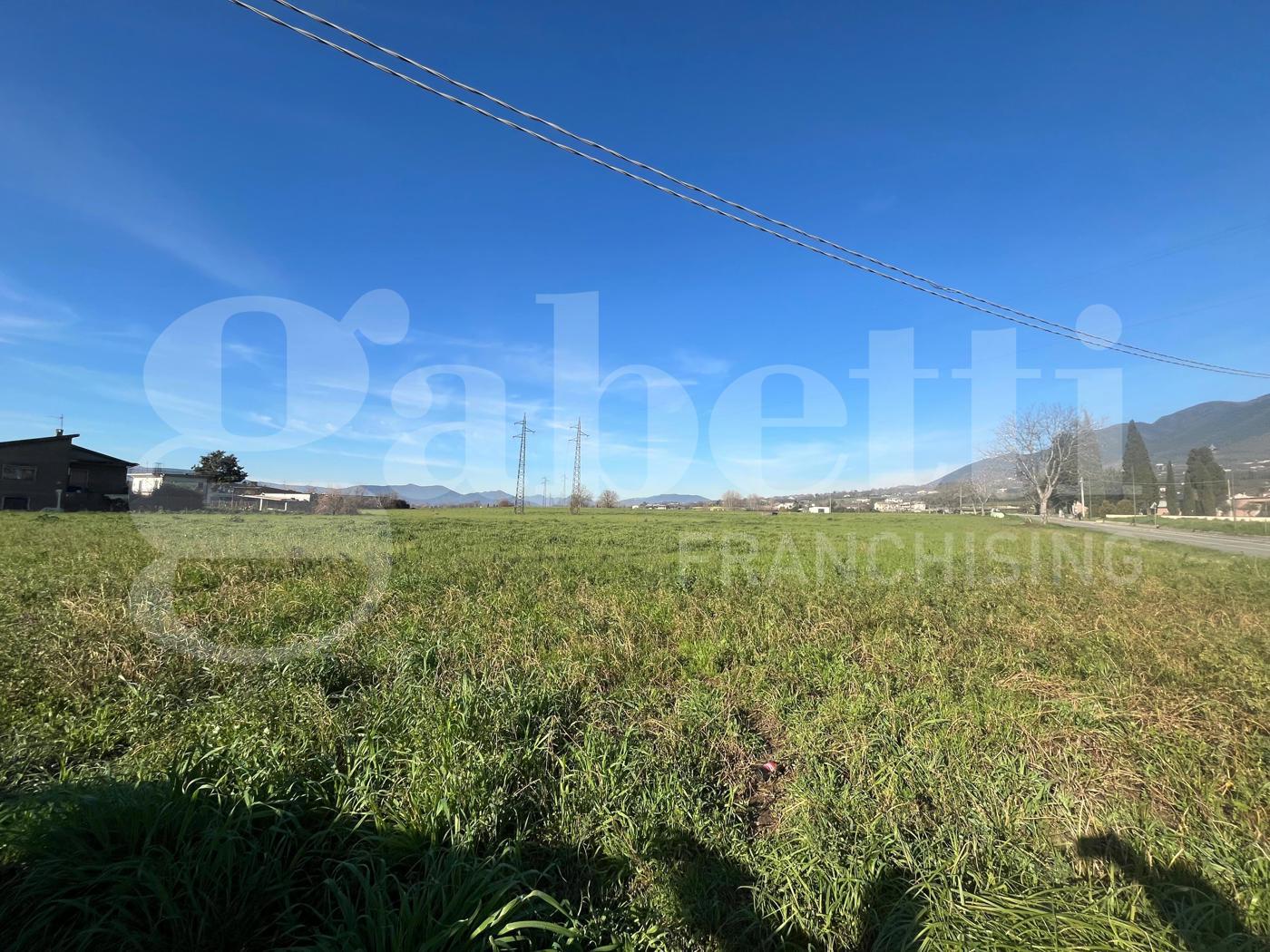 Terreno Agricolo in vendita a Alife