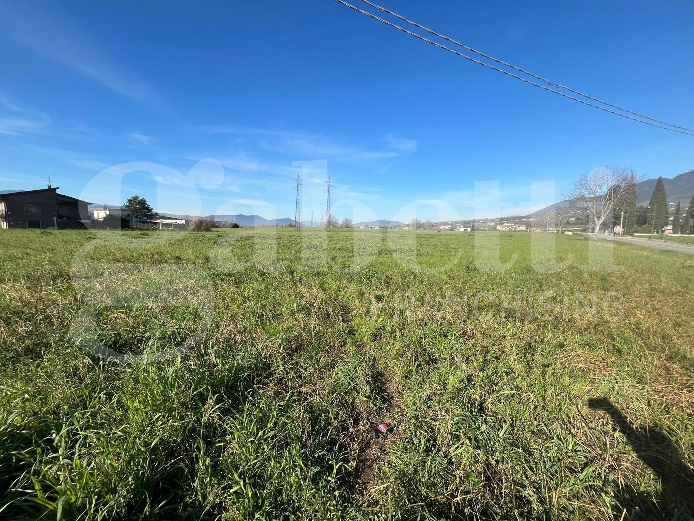 Terreno Agricolo in vendita a Alife