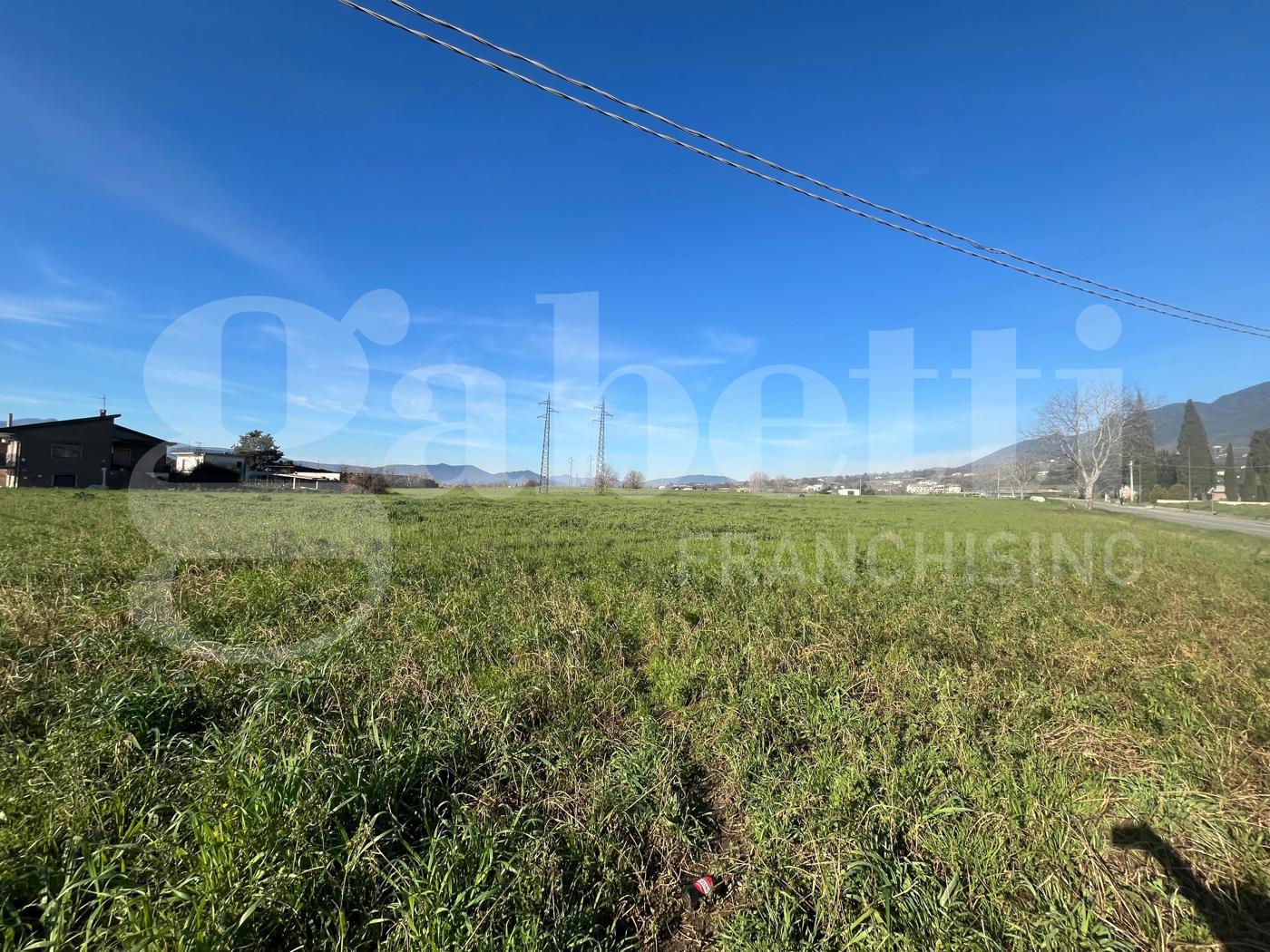 Terreno Agricolo in vendita a Alife