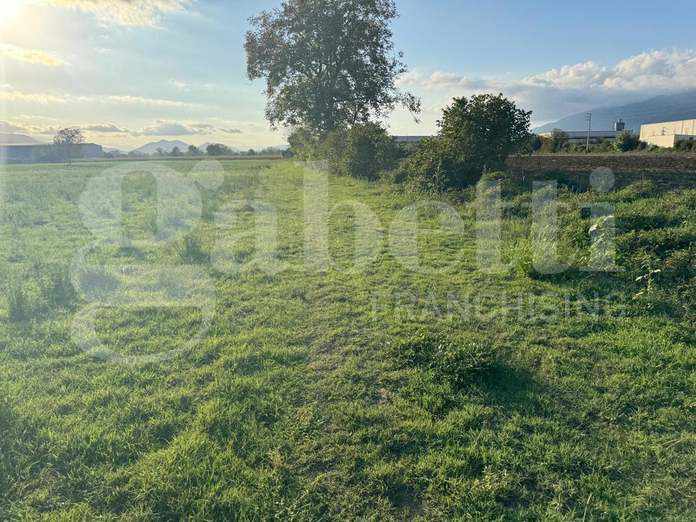 Terreno Agricolo in vendita a Alife