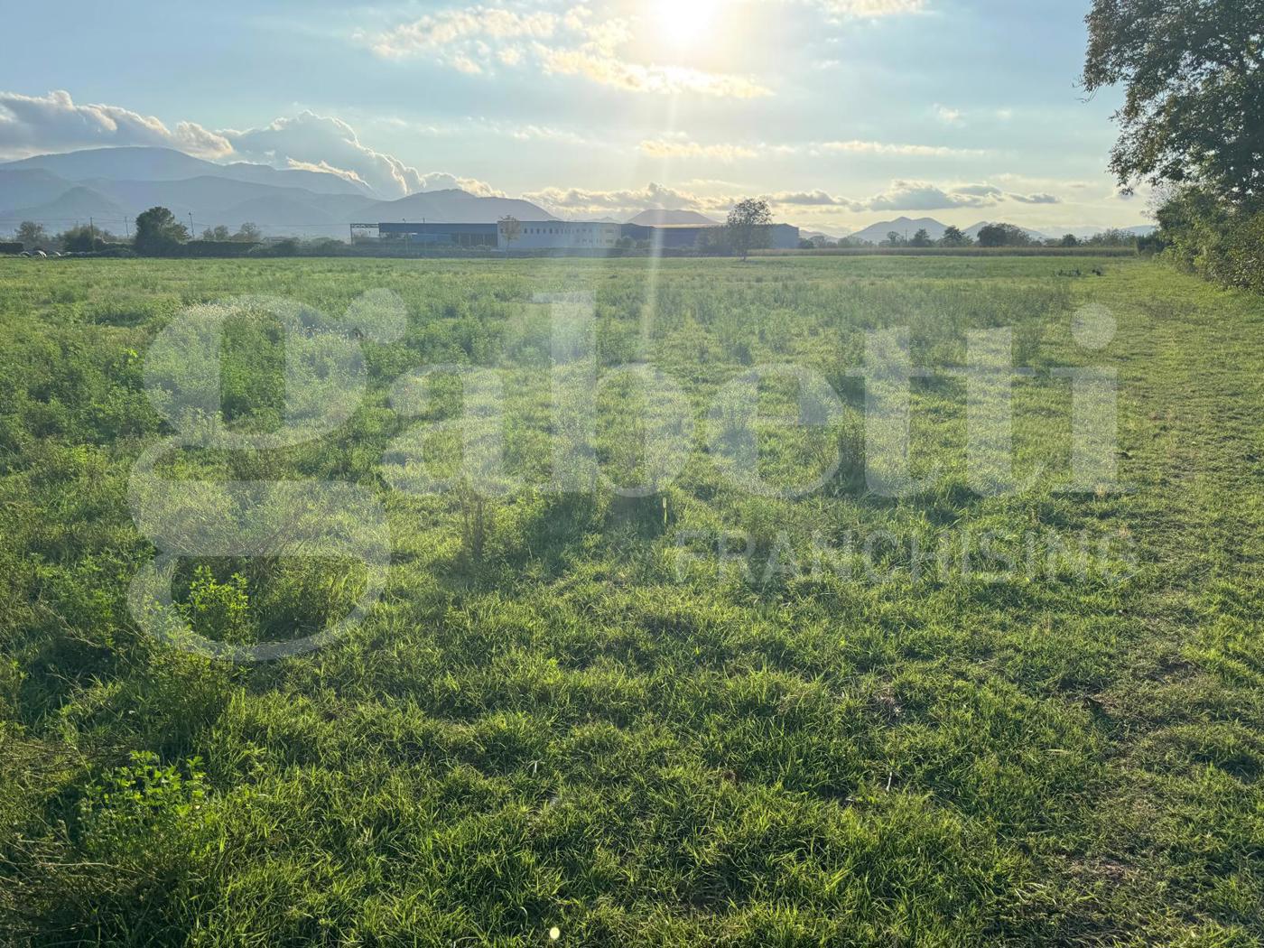 Terreno Agricolo in vendita a Alife