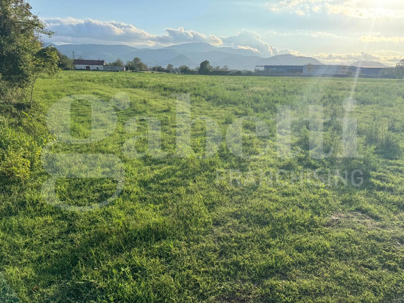 Terreno Agricolo in vendita a Alife