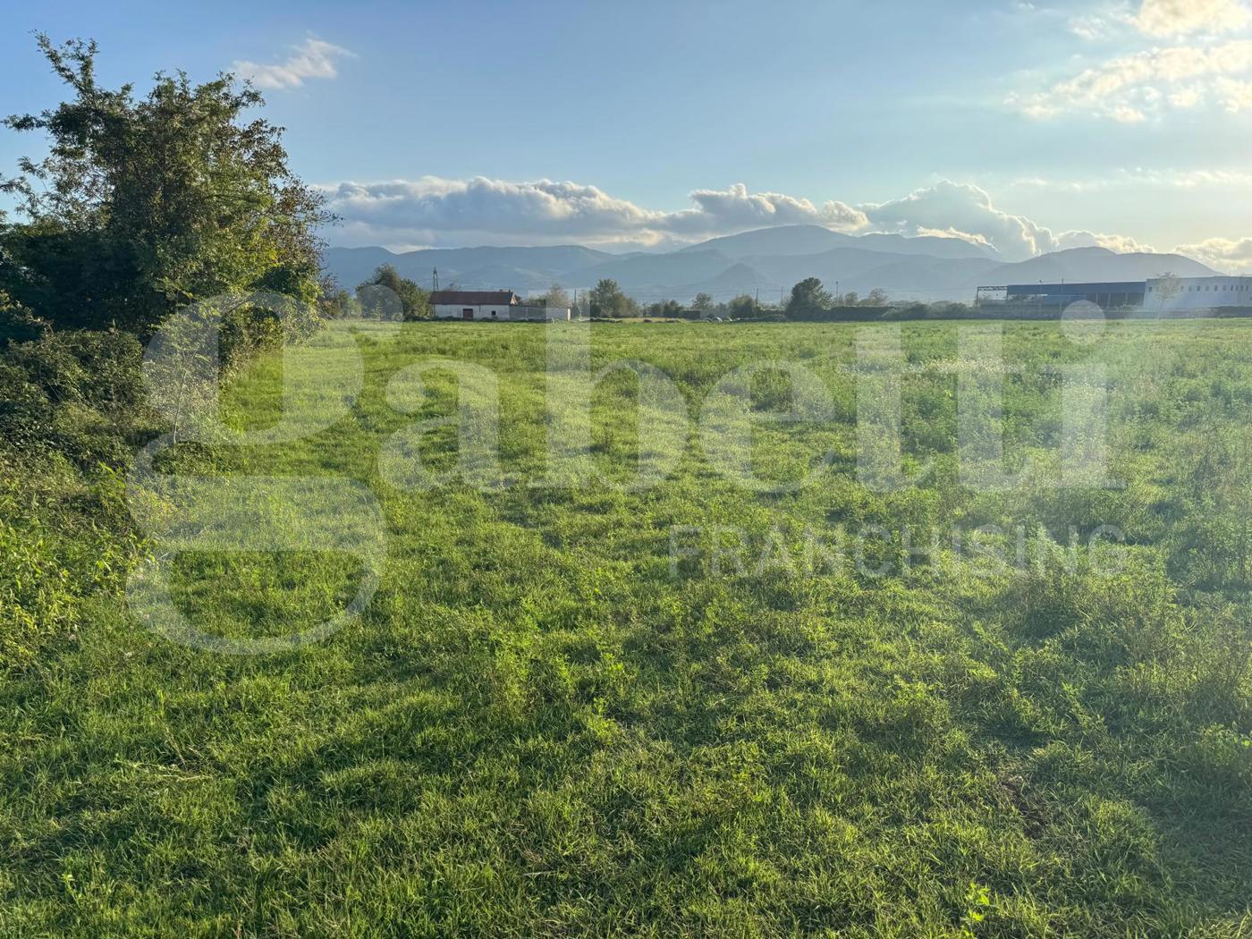 Terreno Agricolo in vendita a Alife