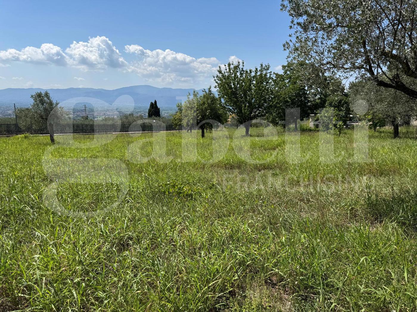 Rustico in vendita a Alife