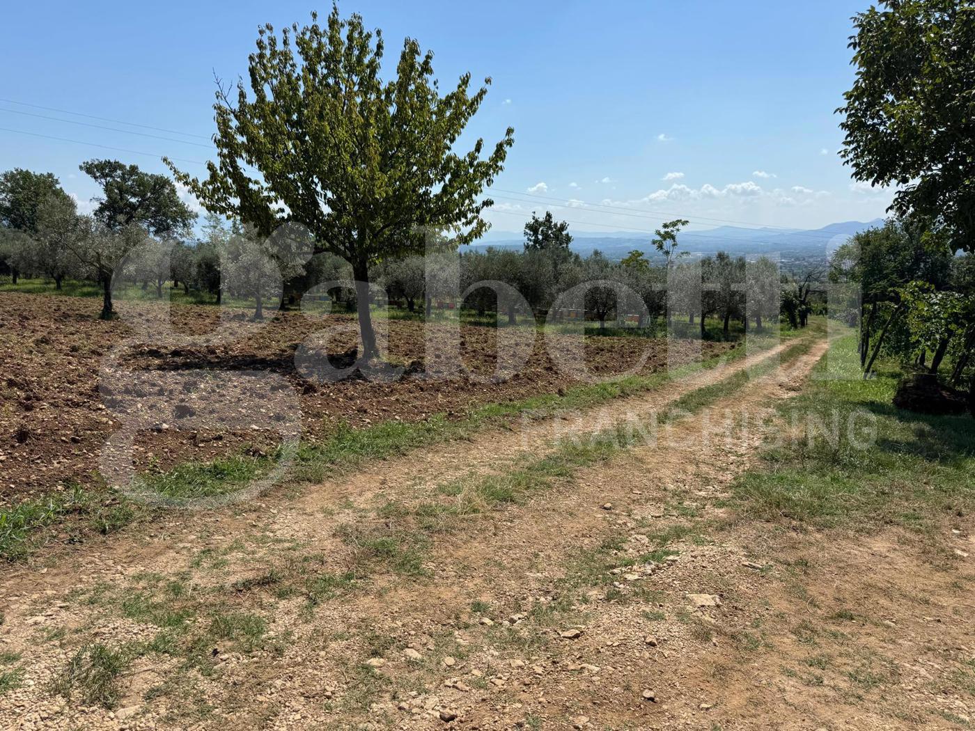 Rustico in vendita a Alife