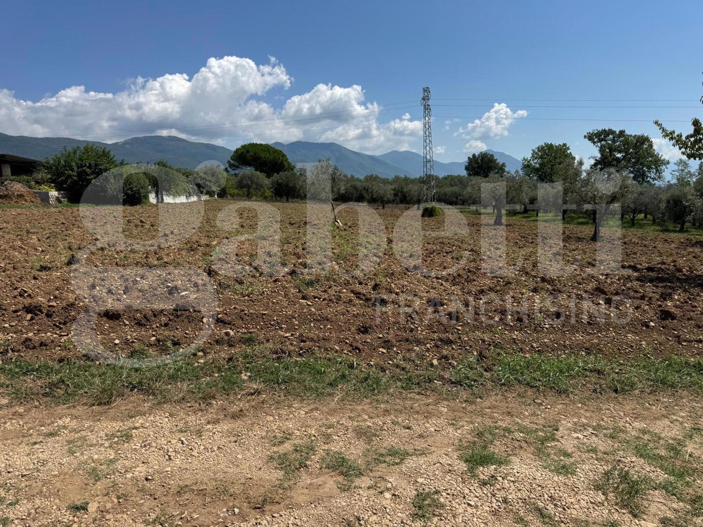 Rustico in vendita a Alife