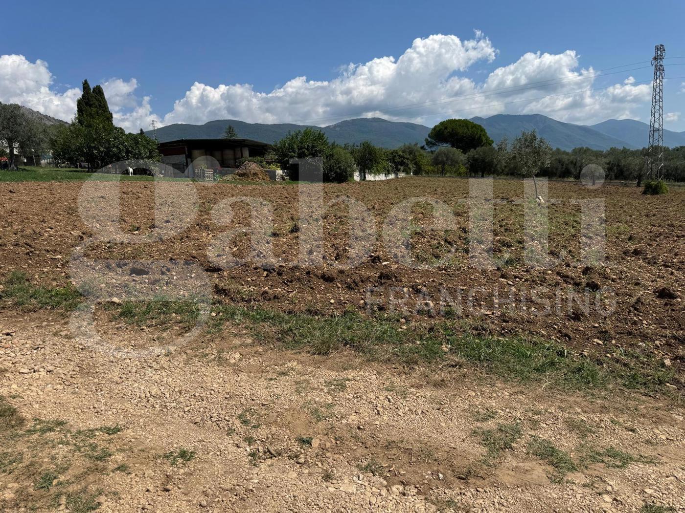 Rustico in vendita a Alife