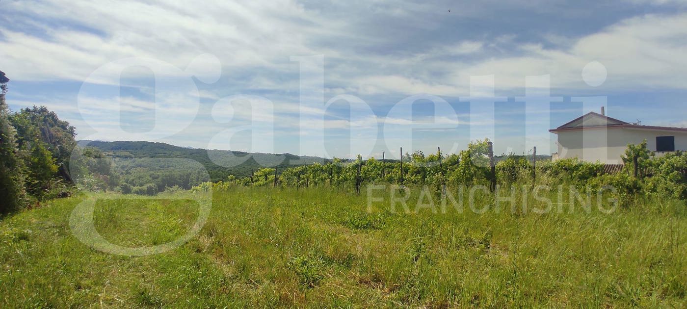 Terreno Agricolo in vendita a Alife