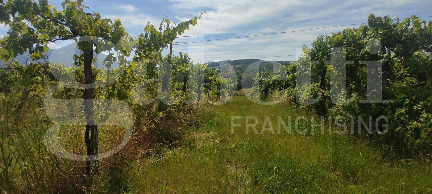 Terreno Agricolo in vendita a Alife