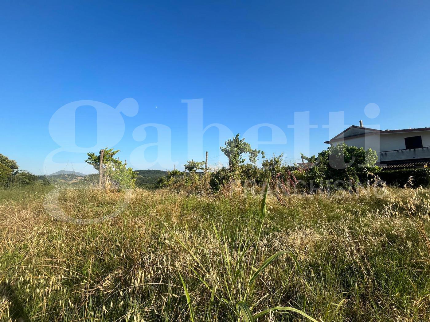 Terreno Agricolo in vendita a Alife