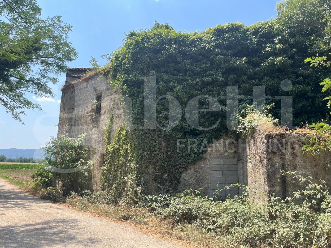 Terreno Agricolo in vendita a Alife