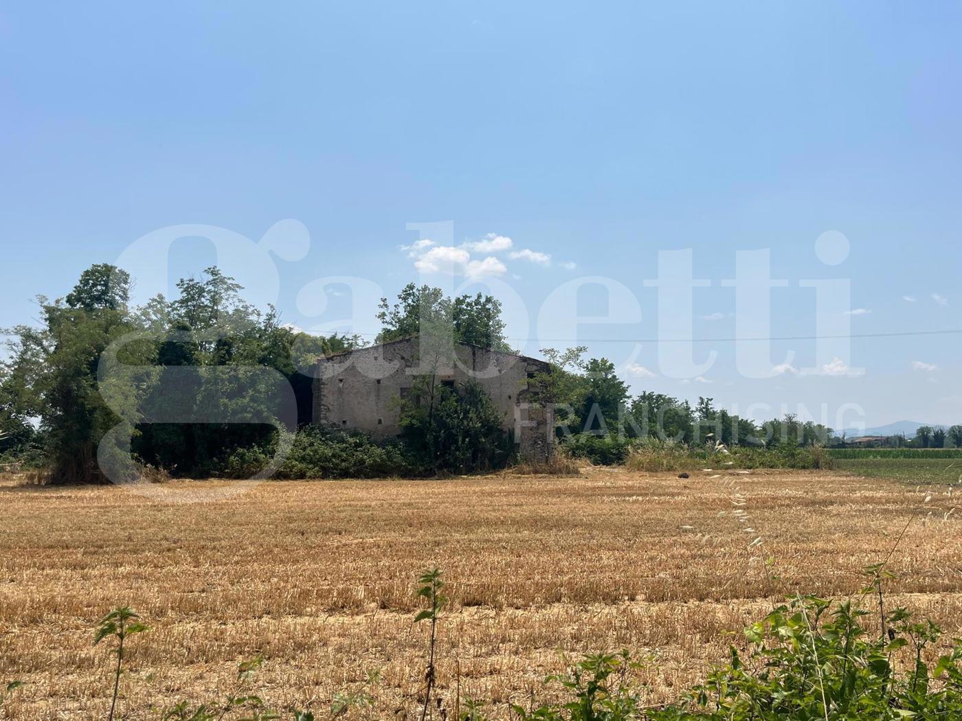 Terreno Agricolo in vendita a Alife