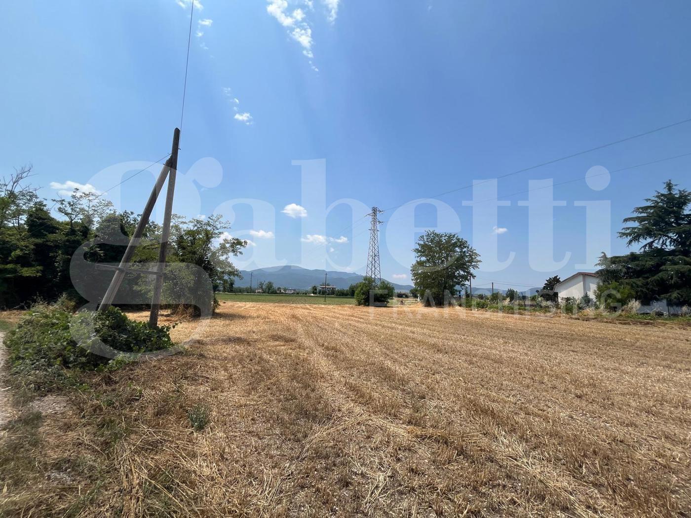 Terreno Agricolo in vendita a Alife