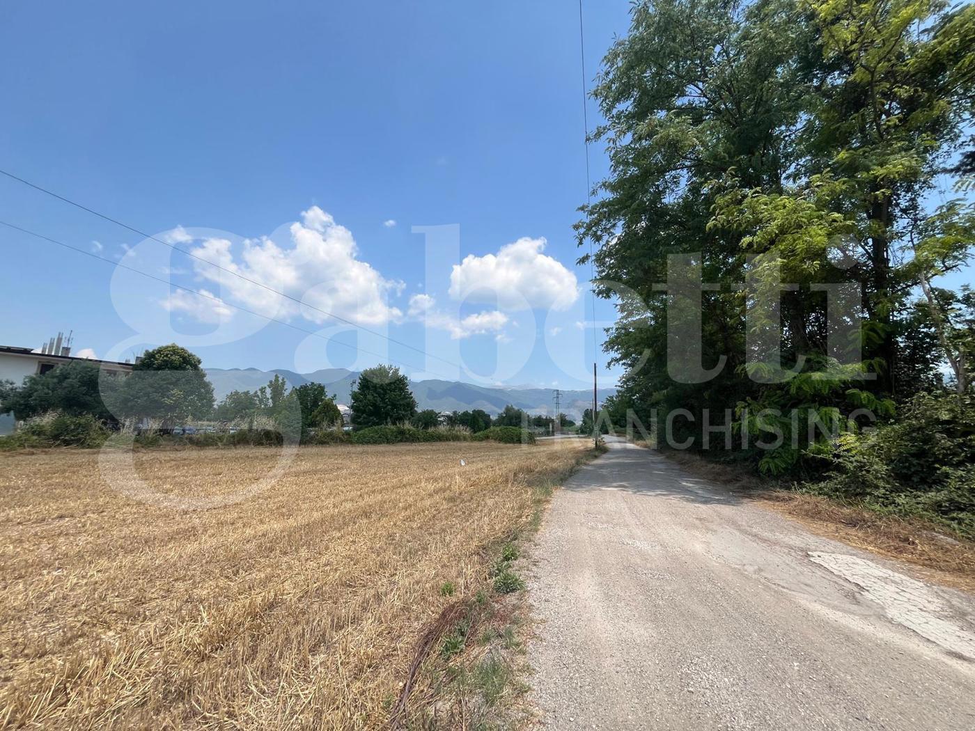 Terreno Agricolo in vendita a Alife