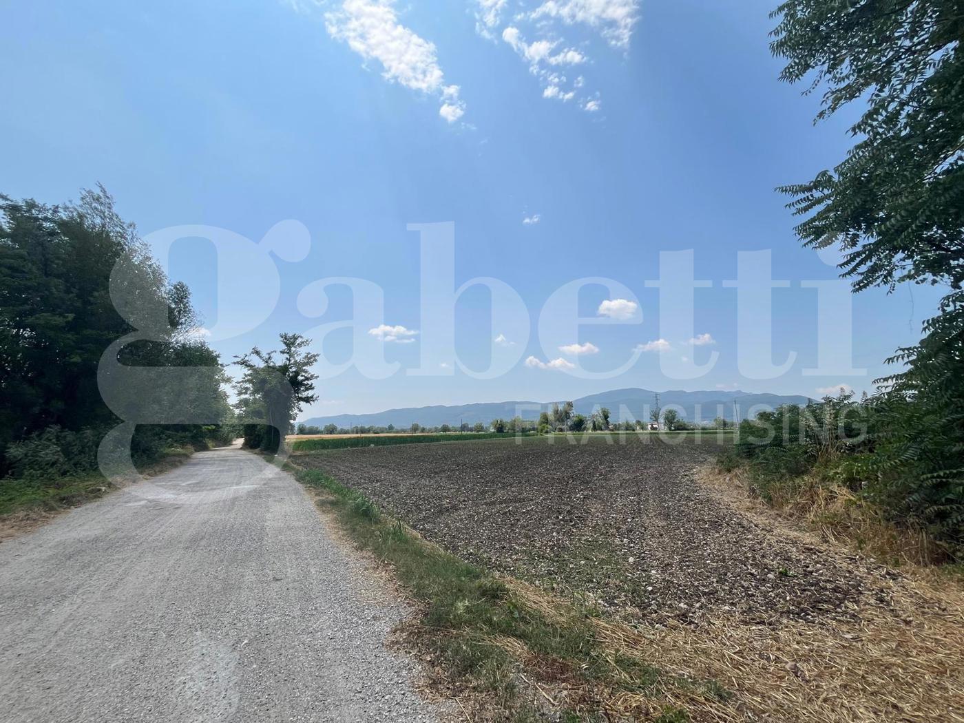 Terreno Agricolo in vendita a Alife