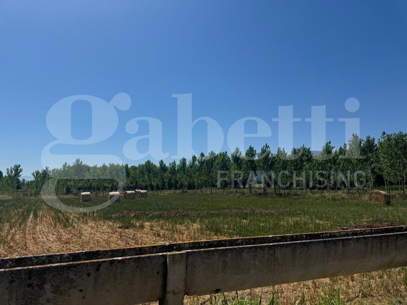 Terreno Agricolo in vendita a Baia e Latina