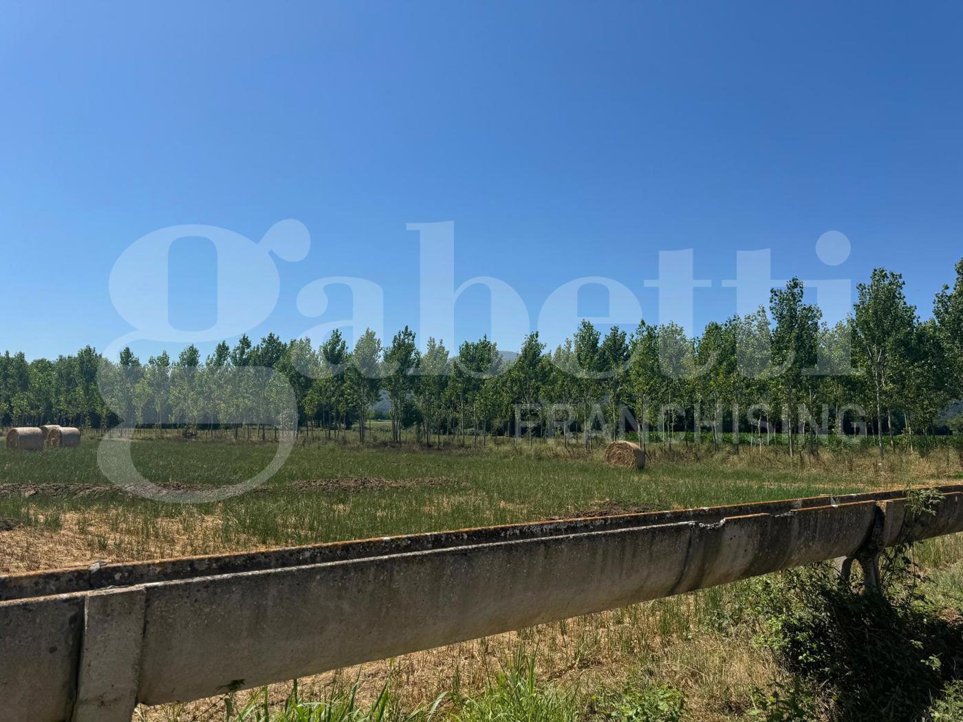 Terreno Agricolo in vendita a Baia e Latina