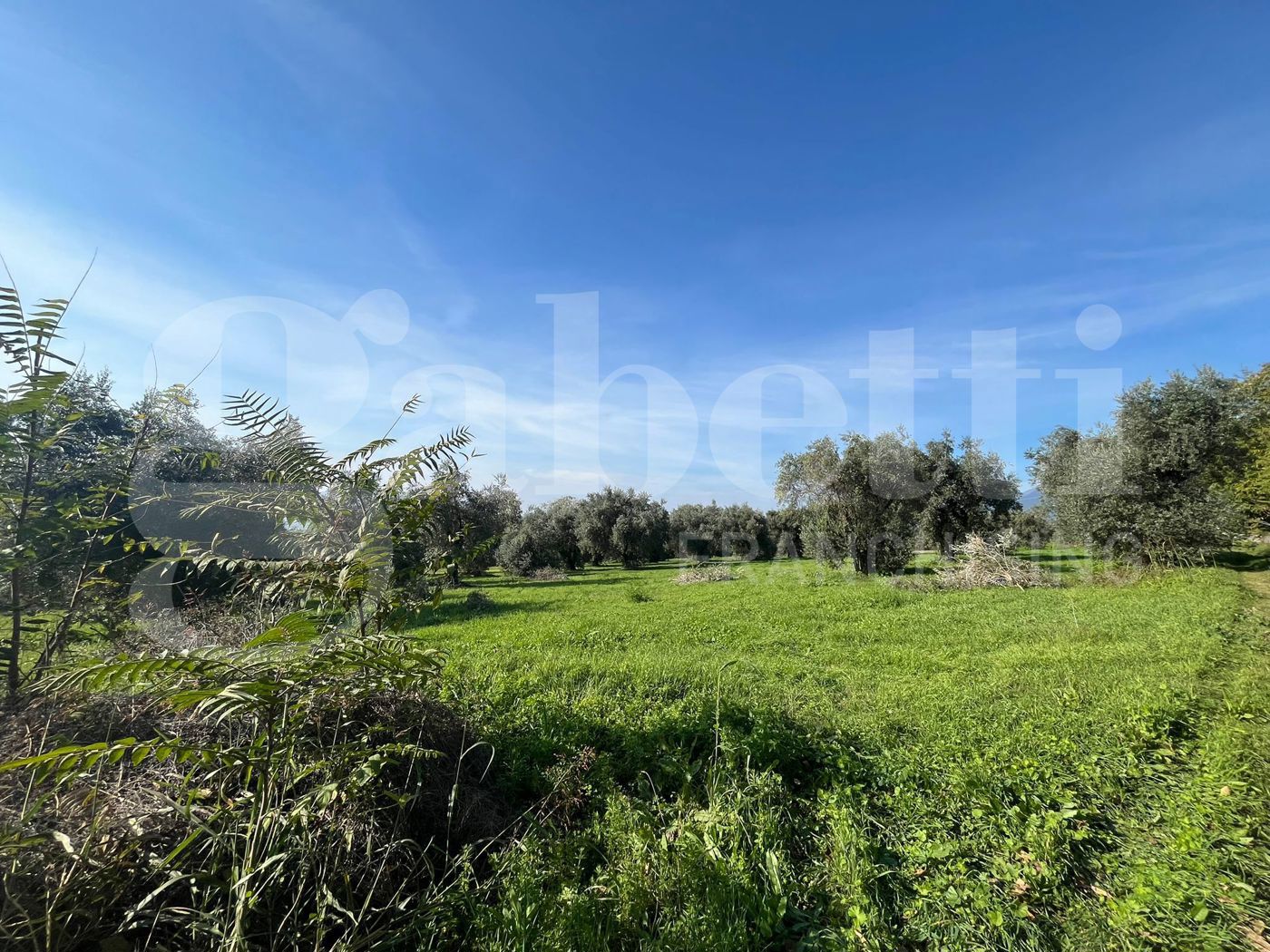 Terreno Agricolo in vendita a San Potito Sannitico