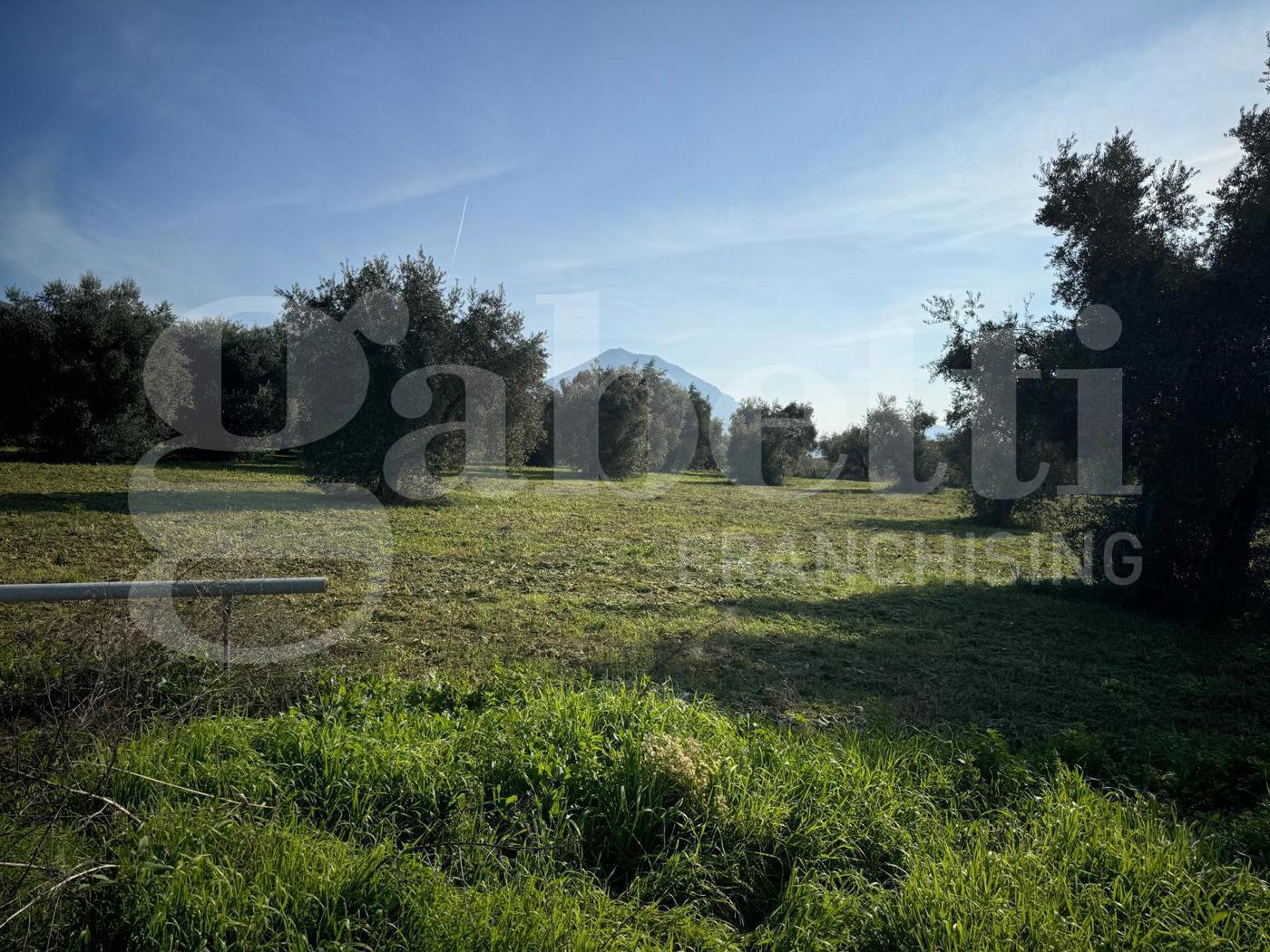 Terreno Agricolo in vendita a San Potito Sannitico