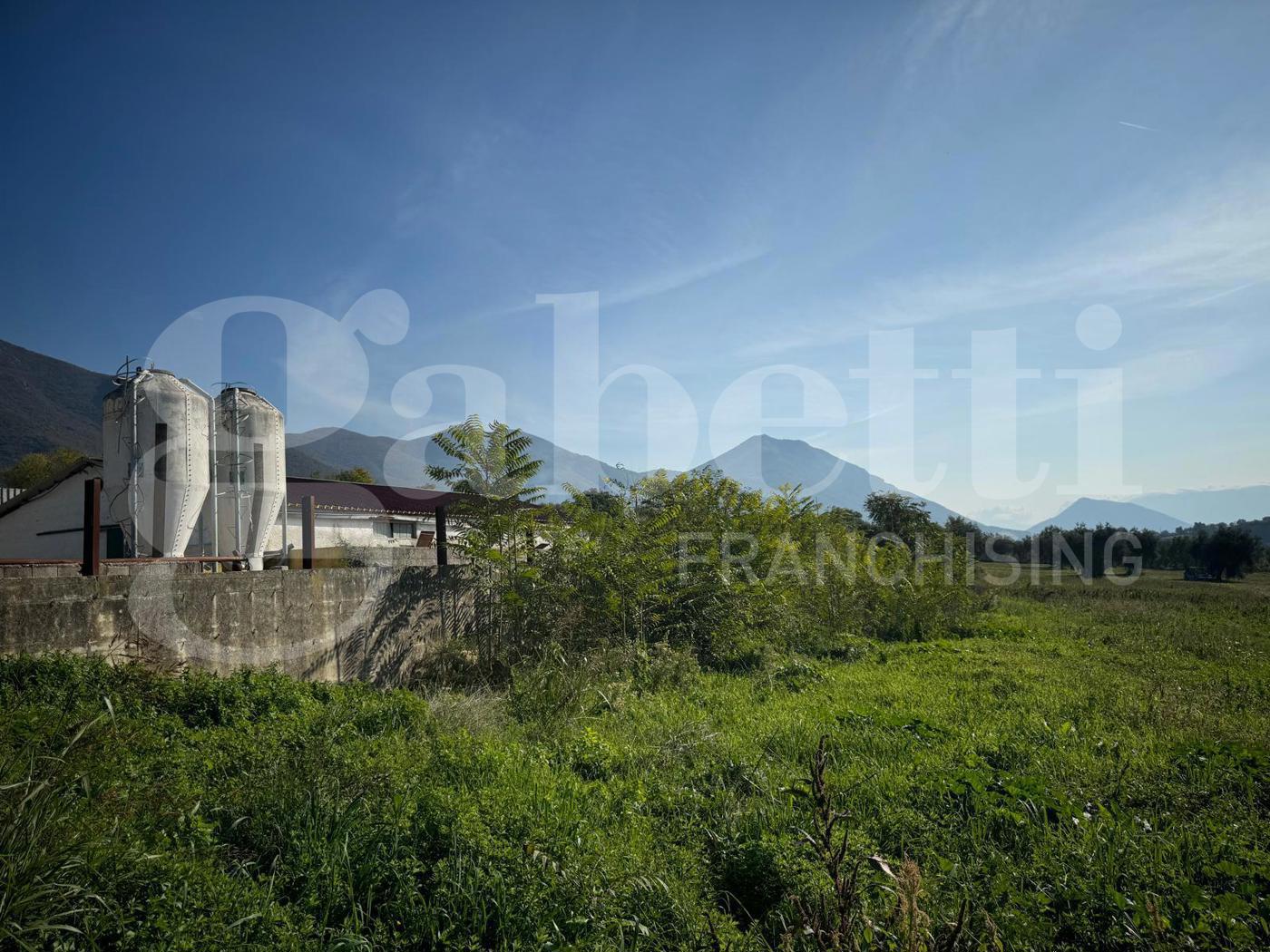Terreno Agricolo in vendita a San Potito Sannitico