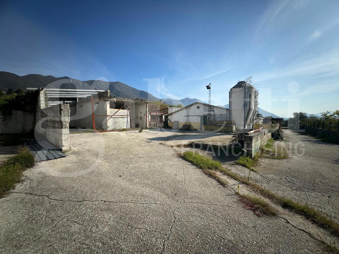 Terreno Agricolo in vendita a San Potito Sannitico