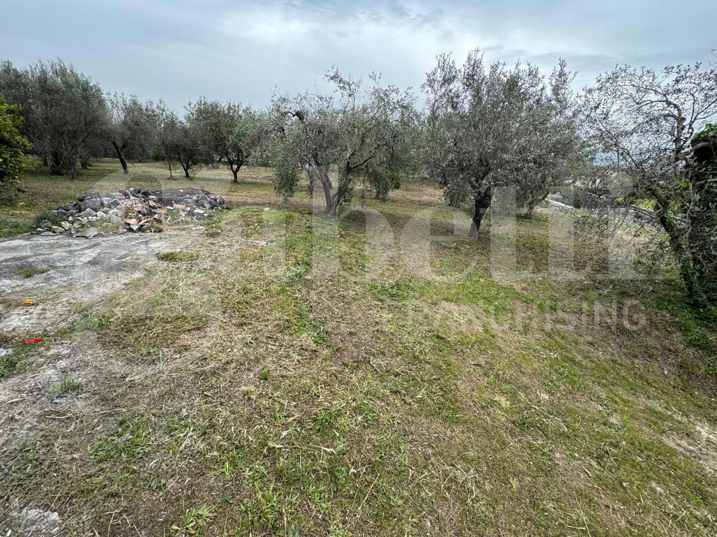 Terreno Edificabile in vendita a San Potito Sannitico