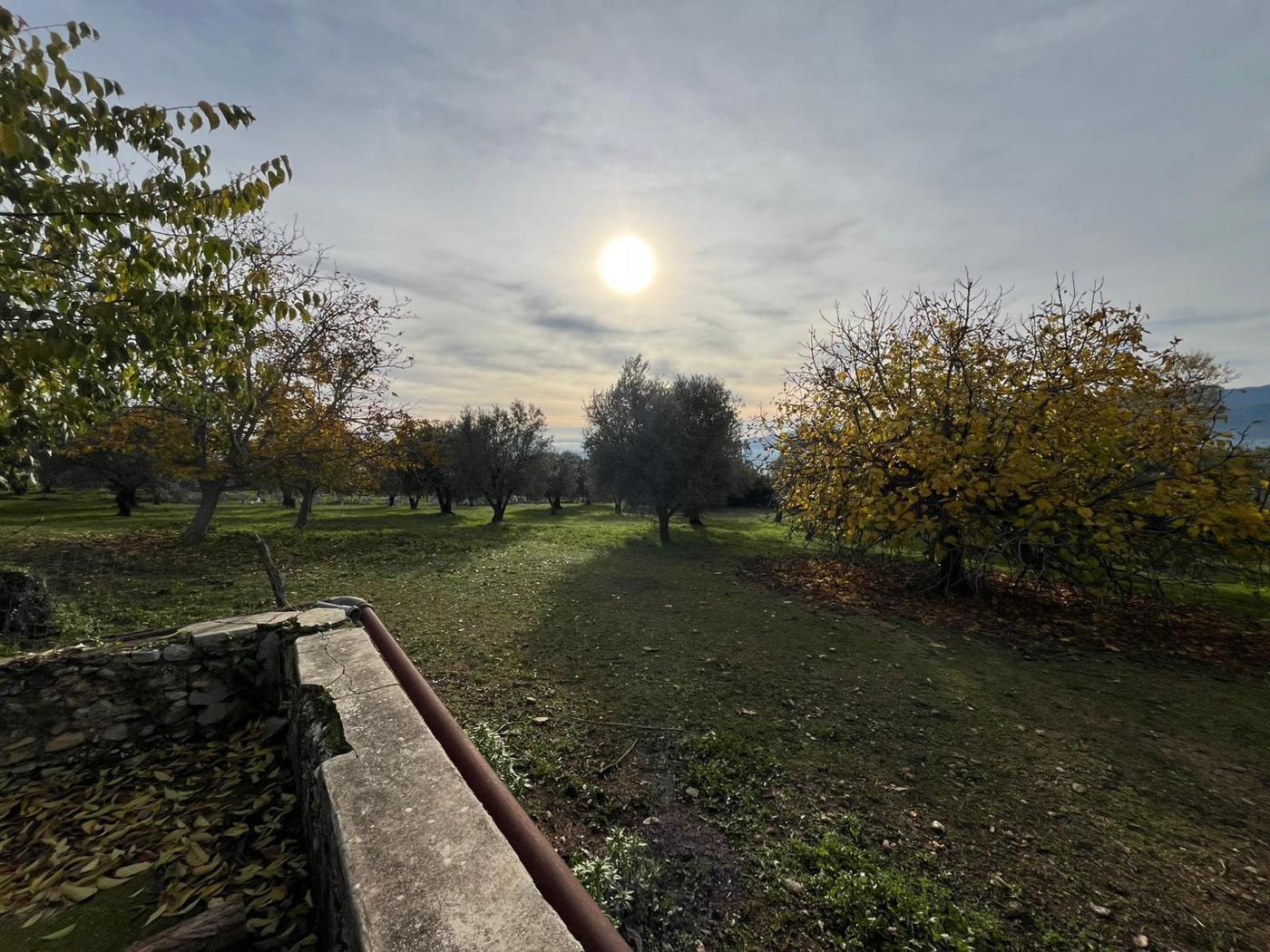 Rustico con giardino a Sant'Angelo d'Alife