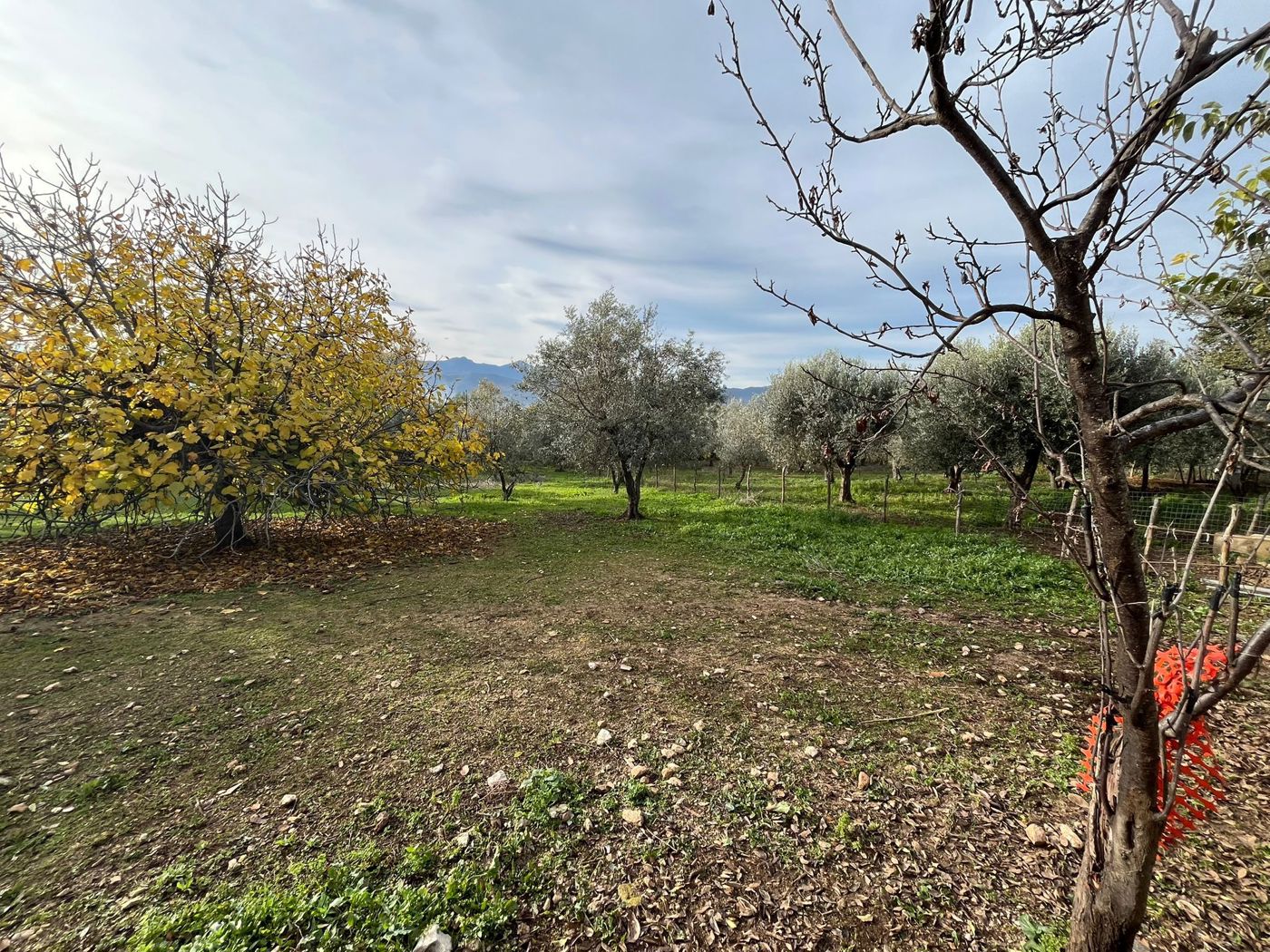 Rustico con giardino a Sant'Angelo d'Alife