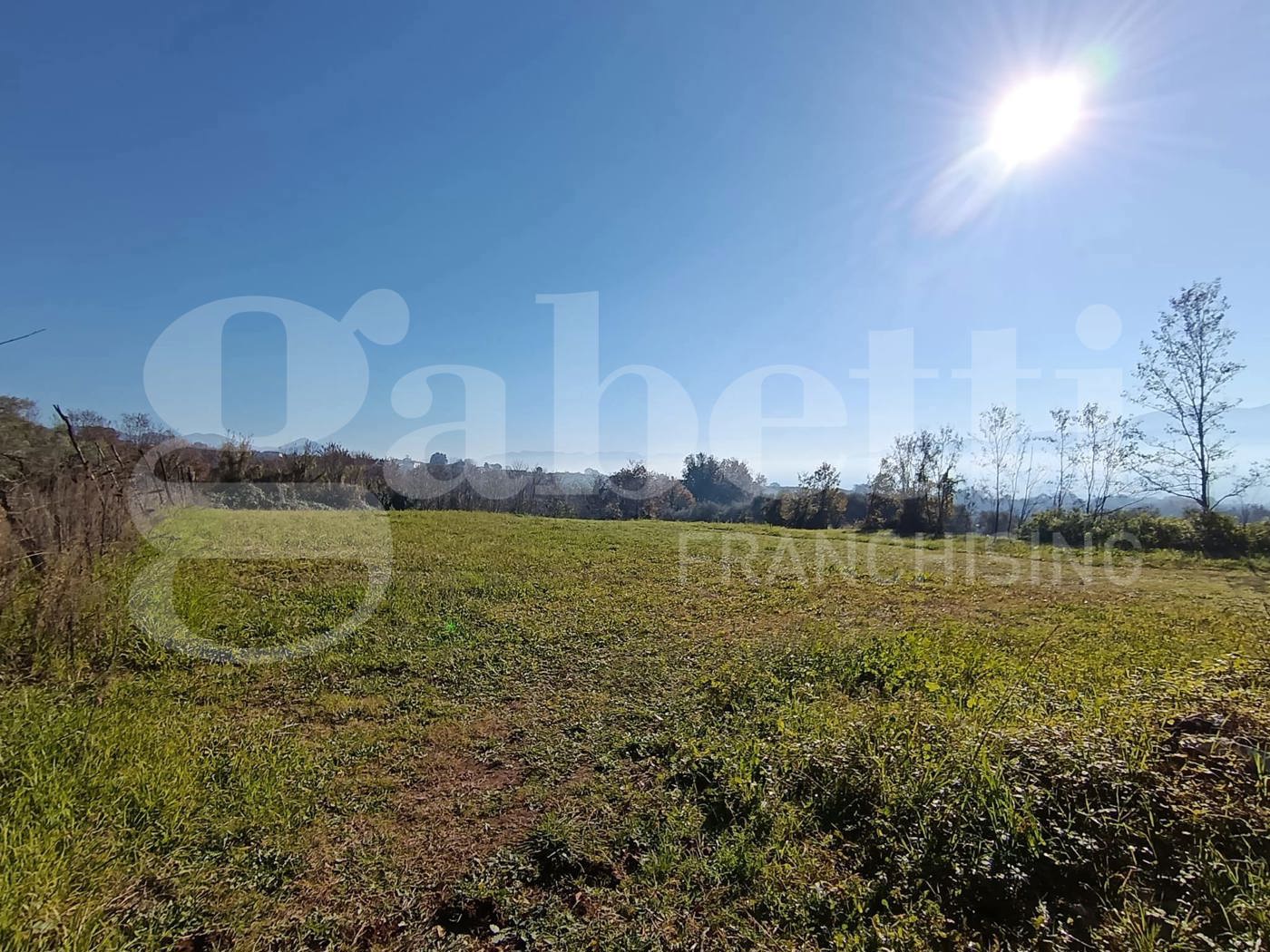 Terreno Agricolo in vendita a Sant'Angelo d'Alife