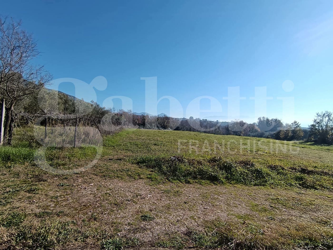 Terreno Agricolo in vendita a Sant'Angelo d'Alife