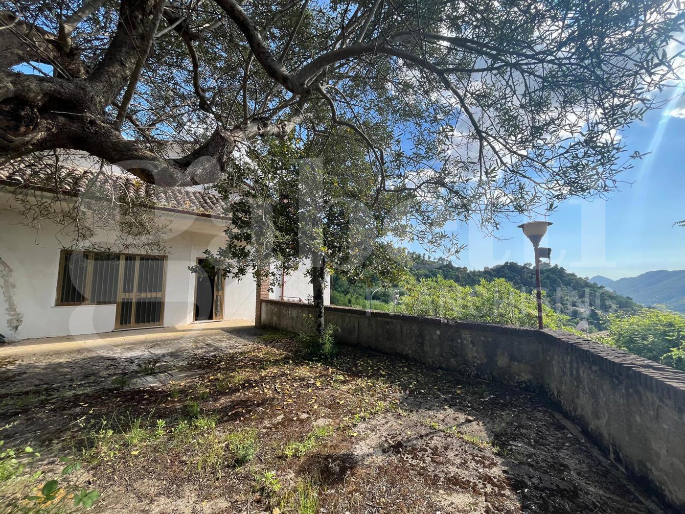 Casa indipendente con giardino a Raviscanina