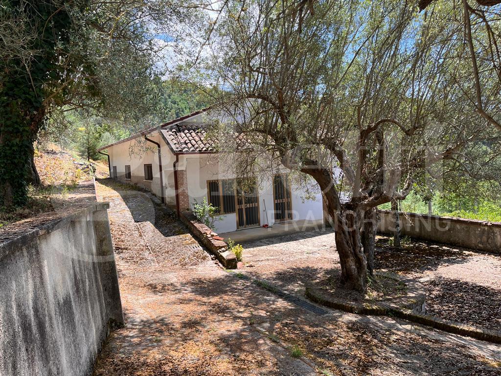 Casa indipendente con giardino a Raviscanina