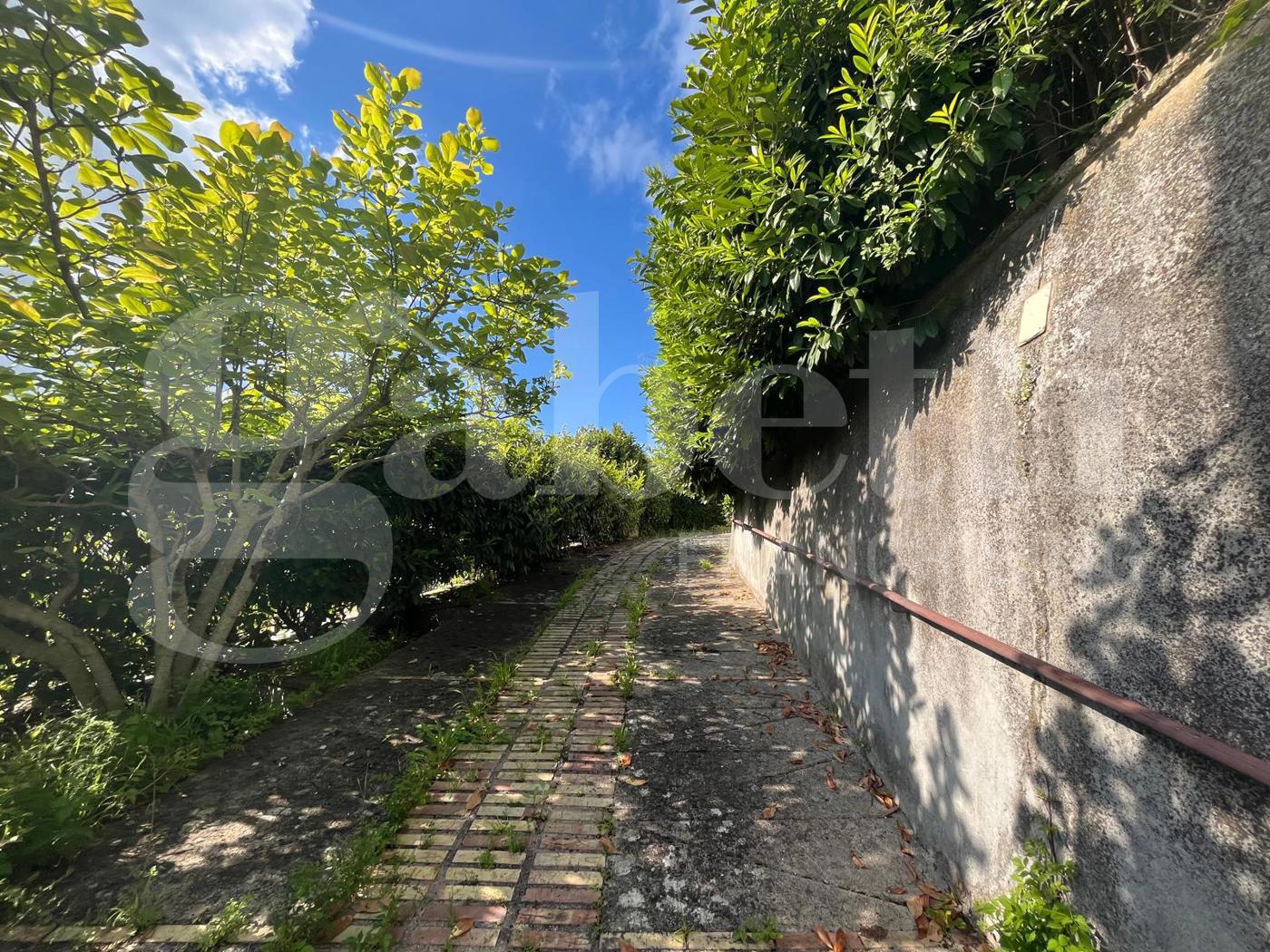 Casa indipendente con giardino a Raviscanina