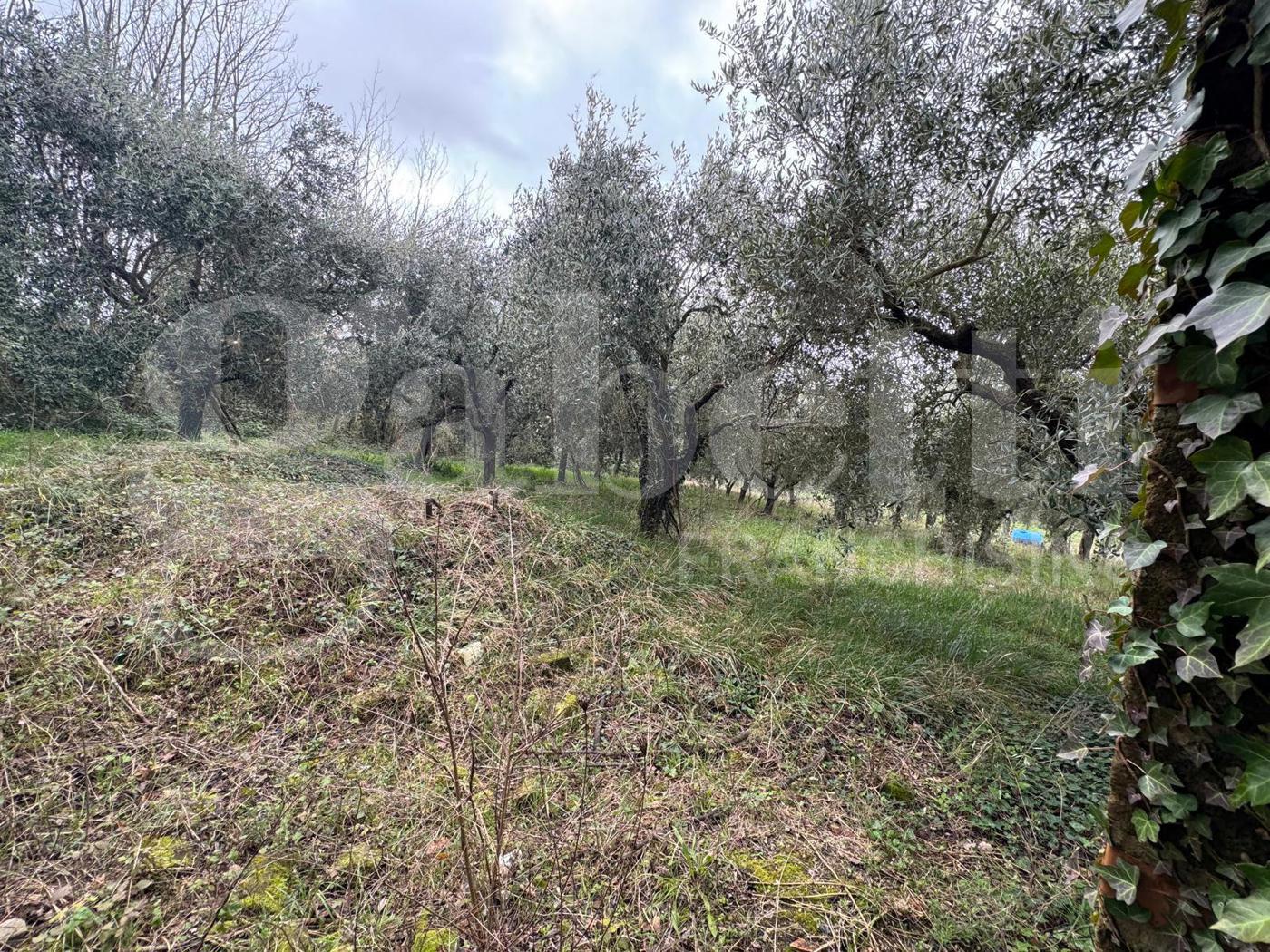 Casa indipendente con giardino a Gioia Sannitica