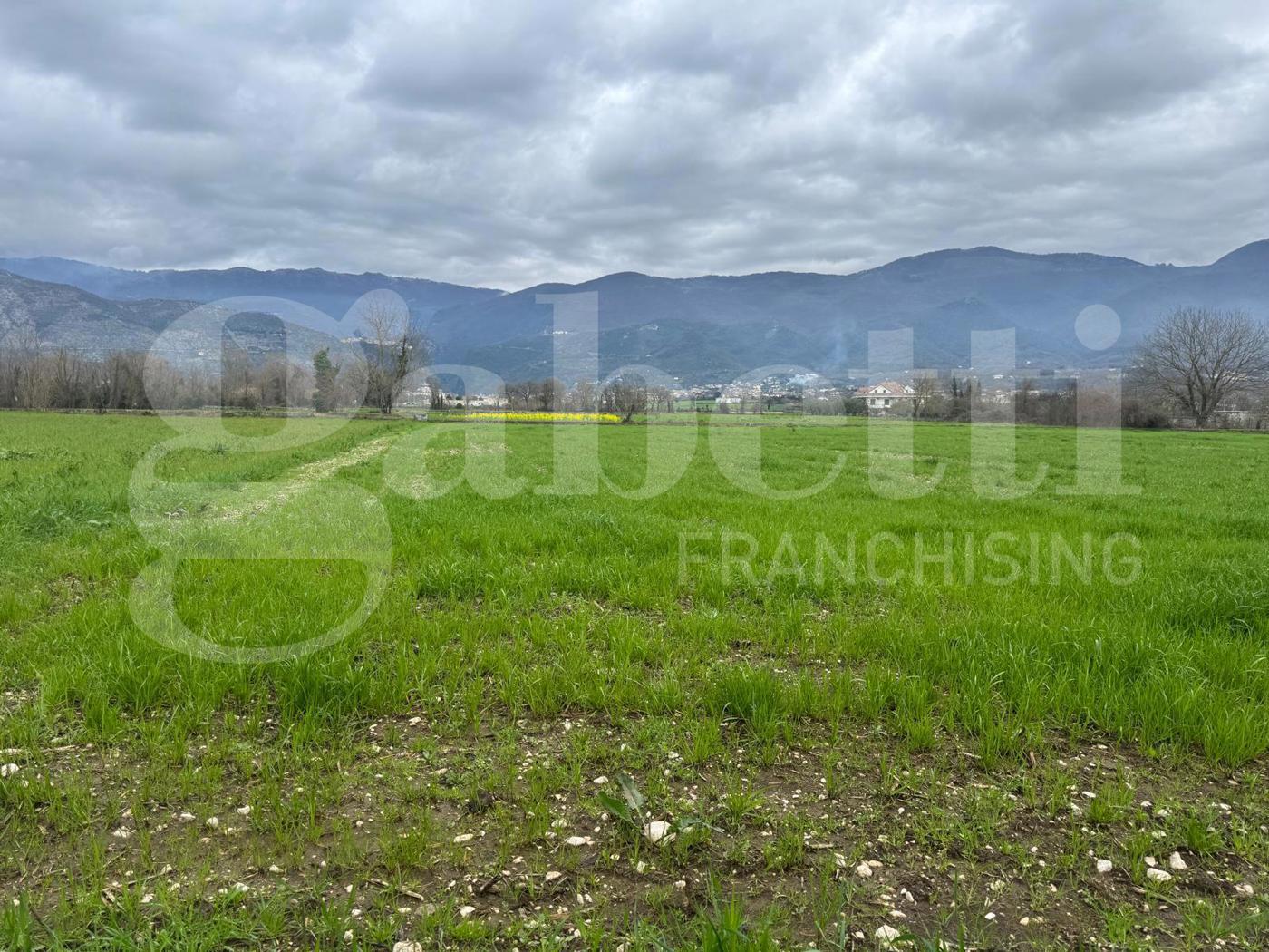 Terreno Agricolo in vendita a Alife