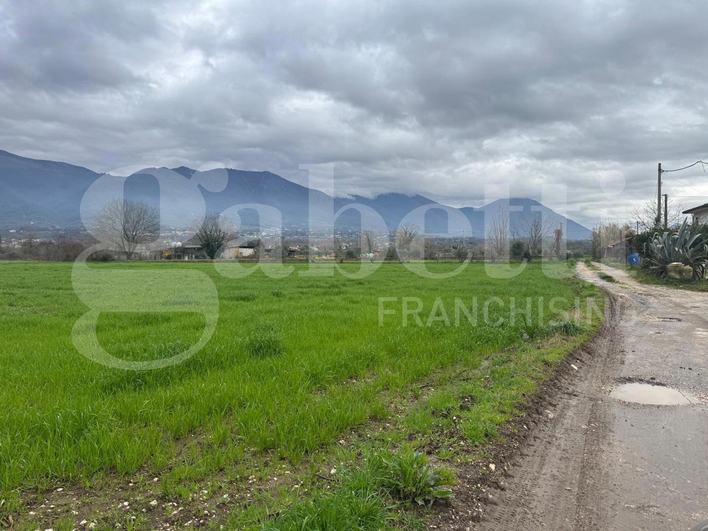 Terreno Agricolo in vendita a Alife