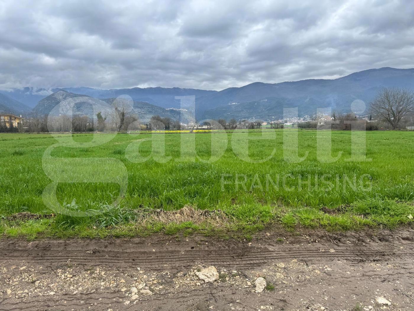 Terreno Agricolo in vendita a Alife