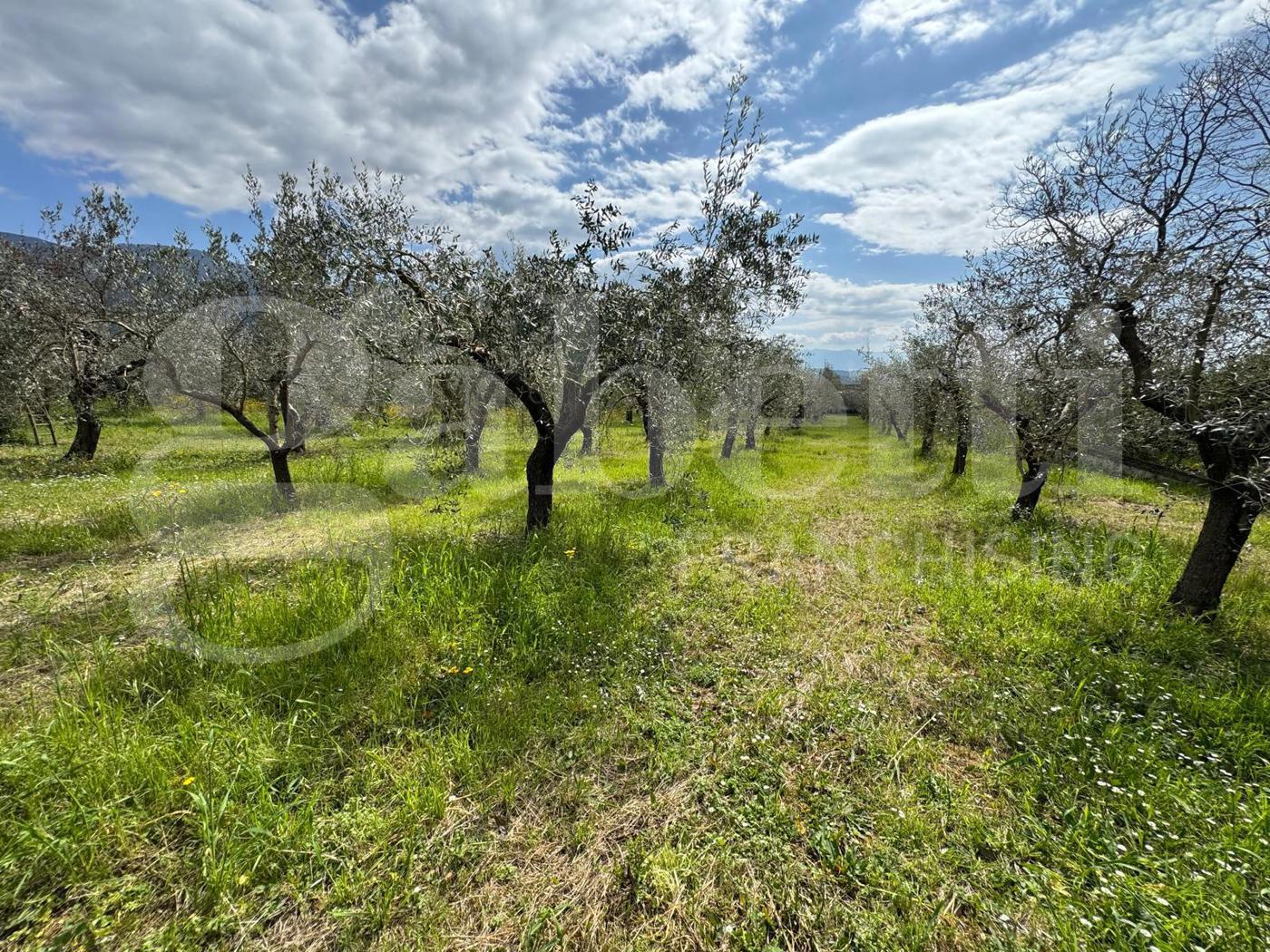 Rustico con giardino a Piedimonte Matese