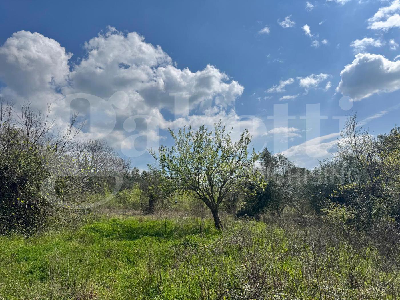 Casa indipendente con giardino a Piana di Monte Verna