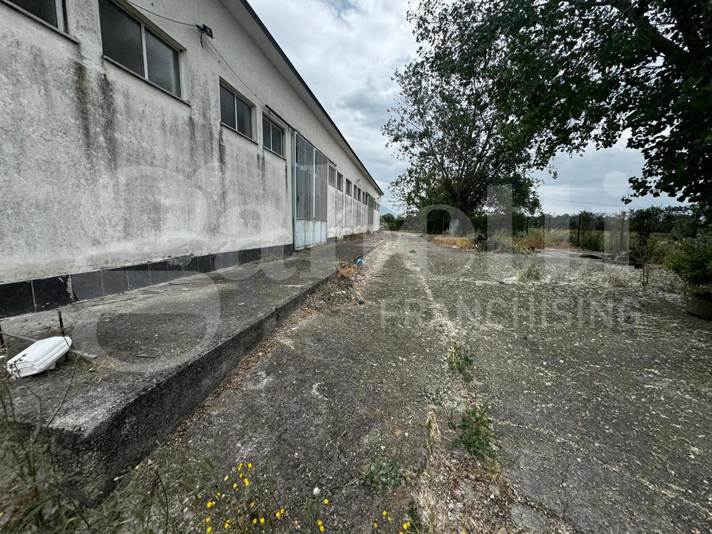 Capannone in affitto a Piedimonte Matese