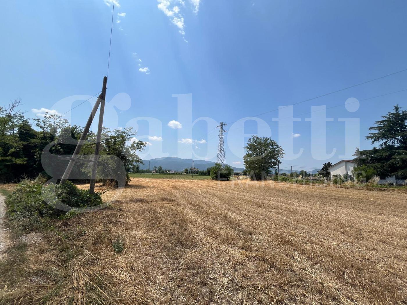 Rustico in vendita a Alife